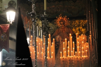 82MS2018